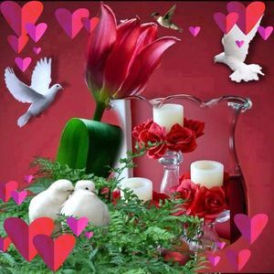 Meet your Posher, Antonia